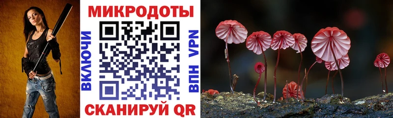 MEGA зеркало  Ершов  Псилоцибиновые грибы GOLDEN TEACHER  цена  